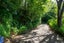 1080 Paradise Valley Road, Ngongotaha Valley - Carousel 33