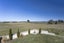 76 Fortification Road, Kakanui - Carousel 21