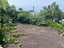 98 Matipo Road, Mairangi Bay, Auckland - Carousel 4