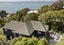 183A Barnard Street, Wadestown, Wellington - Carousel 18