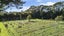 574 Otaraoa Road, Tikorangi, Waitara - Carousel 8