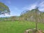 1068 Paeroa-Tahuna Road, Otway, Te Aroha - Carousel 20