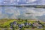 137 Wallis Road, Raglan, Raglan - Carousel 23