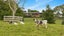 37 Lloyd Road, Riverhead, Albany - Carousel 3