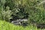 167 Upper Norfolk Road, NORFOLK, INGLEWOOD - Carousel 3