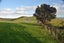 100 Wairoa Gorge Road, Wairoa Valley - Carousel 17