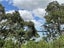 68 Rame Road, Greenhithe, Auckland - Carousel 29