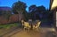 15 Pitt Avenue, Clendon Park, Auckland - Carousel 17