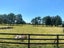 215 Utopia Road, Westport, Westport - Carousel 13