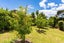 96 Atkin Road, Kaiwaka - Carousel 36