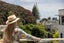 7C May Street, Mount Maunganui, Tauranga - Carousel 17