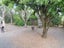 45 Charles St, Carterton, Carterton - Carousel 14
