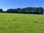 362 Lorne-Dacre Road, ROSLYN BUSH, INVERCARGILL - Carousel 15