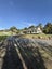 31 Piano Hill Road, Kamo - Carousel 1