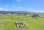 128 Kaiaua Road, Pokeno - Carousel 32