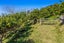 148 Stanley Road, Wainui, Opotiki - Carousel 39