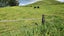 133 Kaimata Road South, Kaimata, Inglewood - Carousel 2