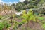 1 Charlotte Street, The Brook, Nelson - Carousel 25
