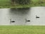 11 Captains Loop, Haruru - Carousel 23