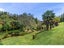 202 Puketotara Road, Waipapa, Kerikeri - Carousel 9