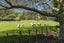 906 Tukairangi Road, Acacia Bay, Taupo - Carousel 27