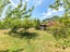 155C Okoia Road, Okoia, Whanganui - Carousel 22