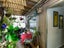 9/57 Carrington Street, Lower Vogeltown, New Plymouth - Carousel 12