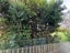 11 Apple Lane, Henderson, Auckland - Carousel 12