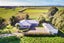 598 Gillespies Line, Kairanga, Palmerston North - Carousel 1
