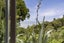 16 La Trobe Track, Karekare, New Lynn - Carousel 32