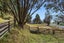 107 Ohiwa Loop Road, Waiotahe, Ōpōtiki - Carousel 19