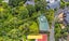 1/37 John Gill Road, Shelly Park, Auckland - Carousel 22