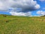 1344 State Highway 12, Oue, Kaikohe - Carousel 17