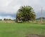 95 Lane Road, Nuhaka - Carousel 13