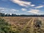 2724 South Eyre Road, Eyrewell, West Eyreton - Carousel 5