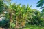 2640 SOUTH HEAD ROAD, Helensville, Auckland - Carousel 35