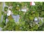 32 Rakiura Parade, Otatara - Carousel 47