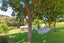 288 Bellville Drive, Coromandel, Coromandel - Carousel 16