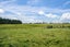 98 McIntosh Road, Otautau, Otautau - Carousel 16