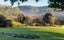 3 Davis Strongman Place, Kerikeri, Kerikeri - Carousel 28