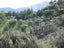 0 Waitata Bay, Waitata, French Pass - Carousel 11