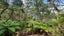 0 Cable Bay Block Road, Cable Bay, Cable Bay - Carousel 12