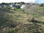 22B Simon Road, Raglan, Raglan - Carousel 4