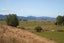 0 McIntyre Road, Kawakawa, Kawakawa - Carousel 8