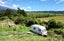 0 Poerua Valley Rd, Harihari - Carousel 8