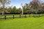 361 Corbett Road, Paraite, New Plymouth - Carousel 38