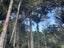 0 Horeke Road, Horeke, Okaihau - Carousel 12