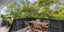 34B Ripon Crescent, Meadowbank, Auckland - Carousel 5