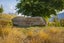 11 Reedland Street, Jacks Point, Queenstown-Lakes, Otago - Carousel 4