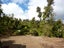 35 Mokihinui Preserve, Seddonville, Westport - Carousel 1